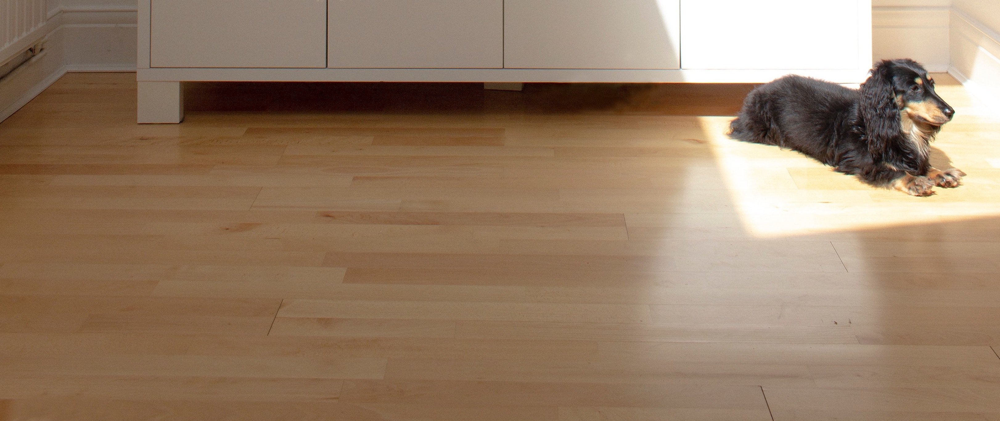 Best Way to Clean Hardwood Floors with Pets